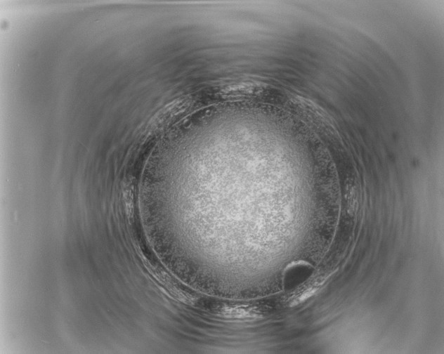 X0000060770753200511141257