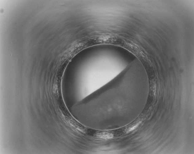 X0000060770754200511141257