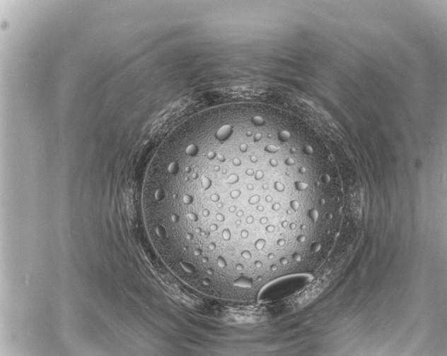 X0000060770757200511141257