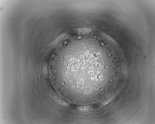 X0000060770761200511141257