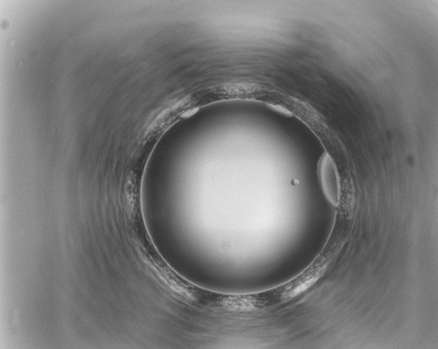 X0000060770762200511141257