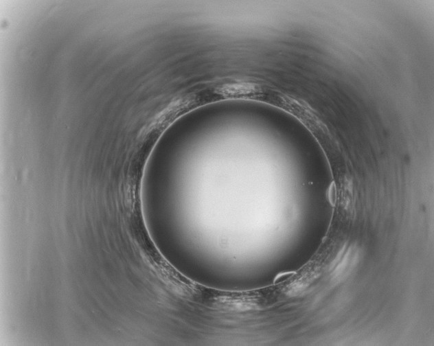 X0000060770763200511141257