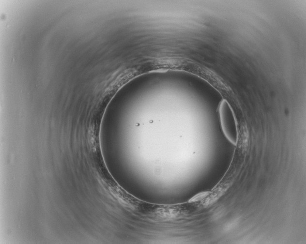 X0000060770764200511141257