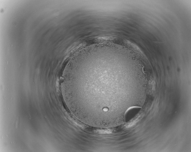 X0000060770765200511141257