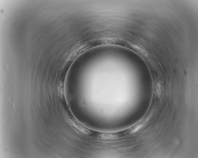 X0000060770766200511141257