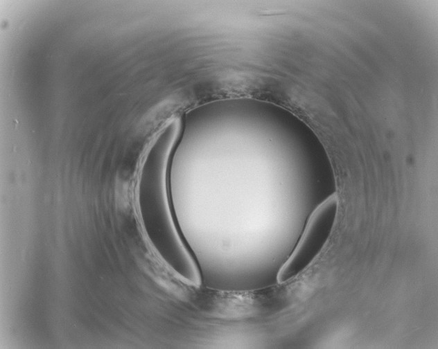 X0000060770768200511141257