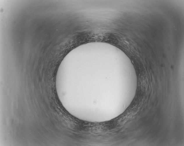 X0000060770769200511141256