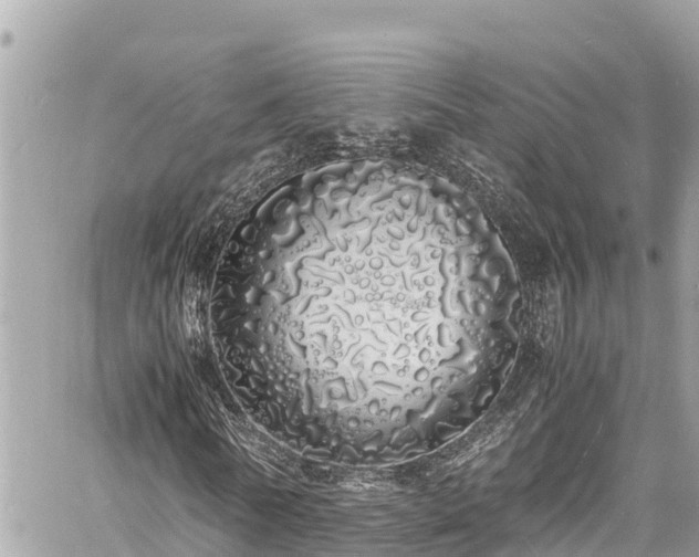 X0000060770770200511141256