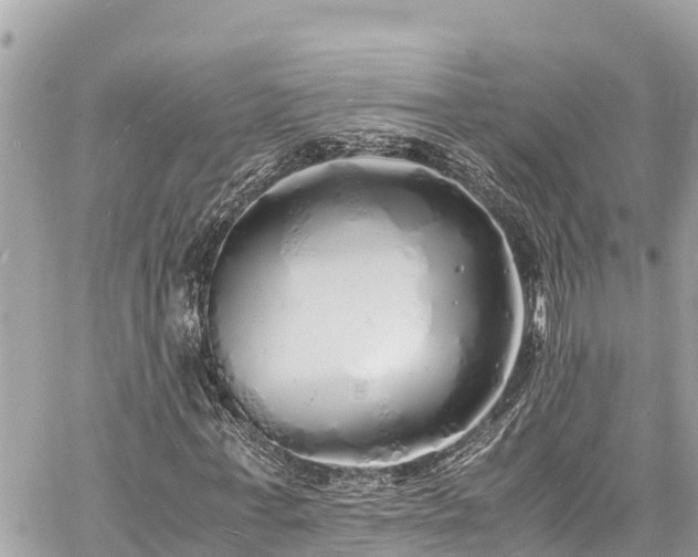 X0000060770771200511141256