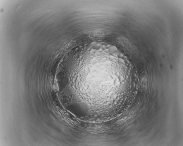 X0000060770772200511141256