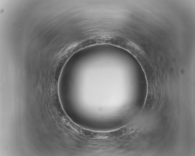 X0000060770773200511141256