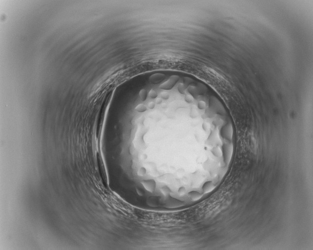 X0000060770774200511141256