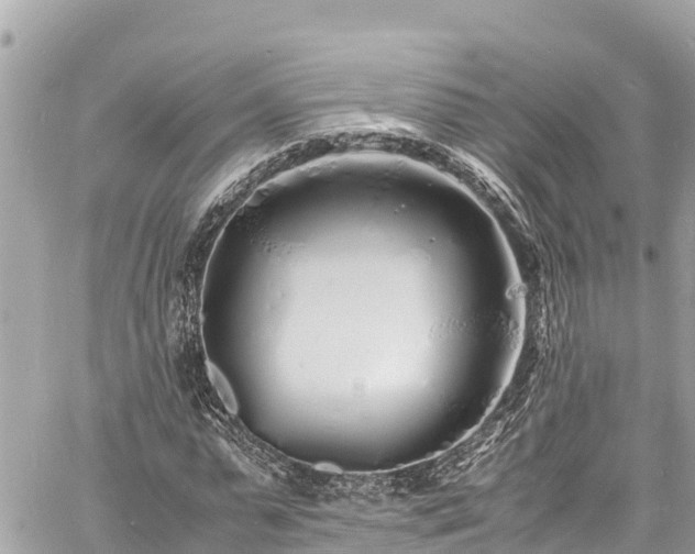 X0000060770775200511141256