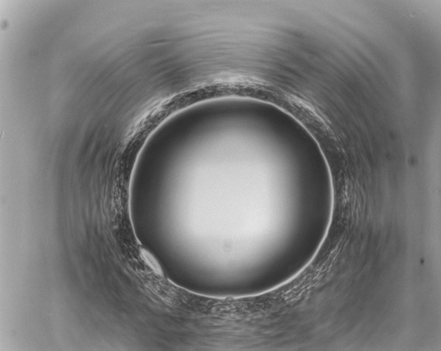 X0000060770776200511141256