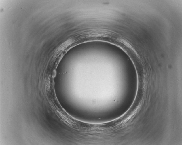 X0000060770777200511141256