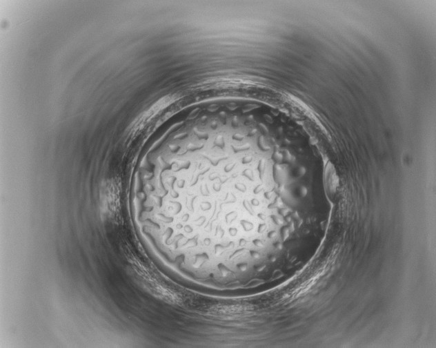 X0000060770778200511141256