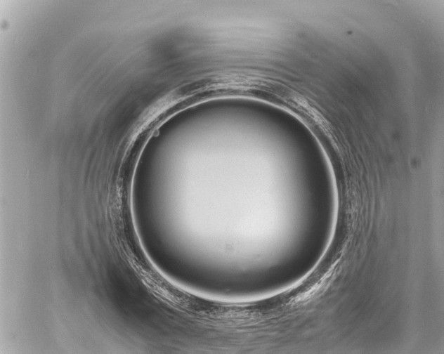 X0000060770779200511141256