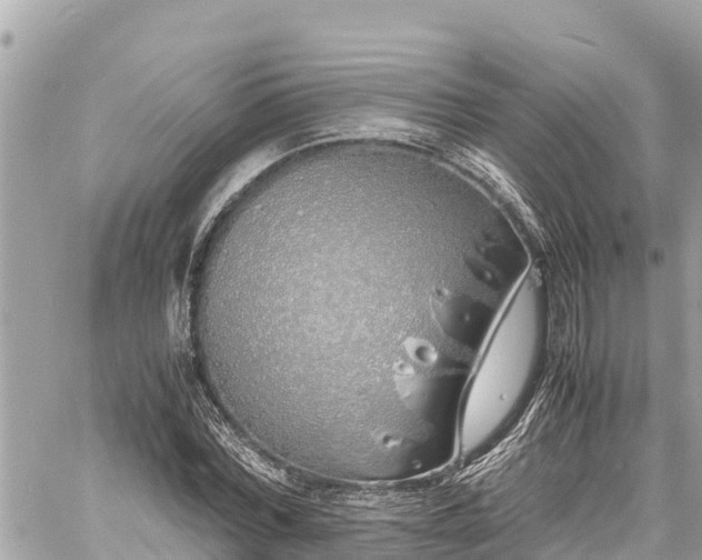 X0000060770780200511141256