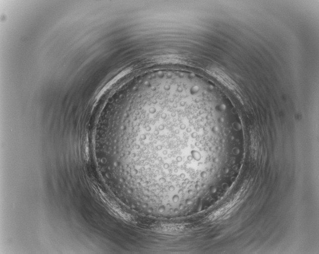 X0000060770782200511141256