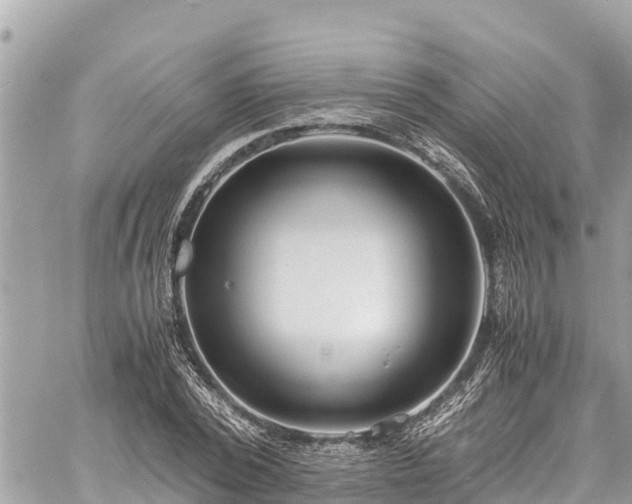 X0000060770784200511141256