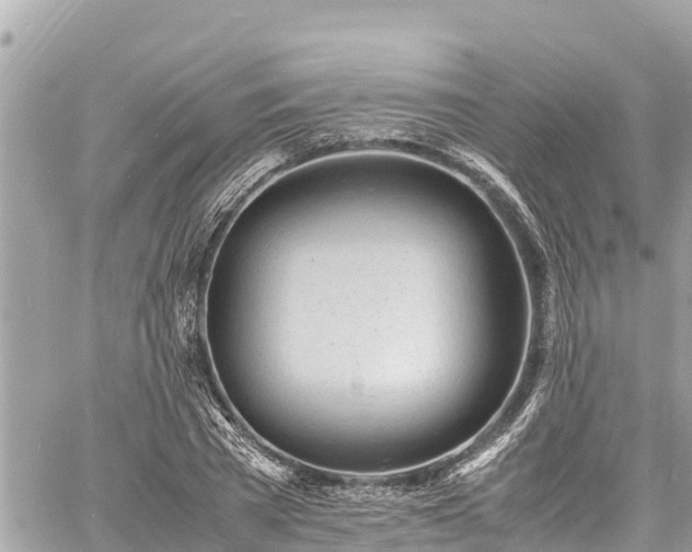 X0000060770785200511141256