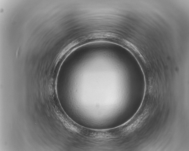 X0000060770786200511141256