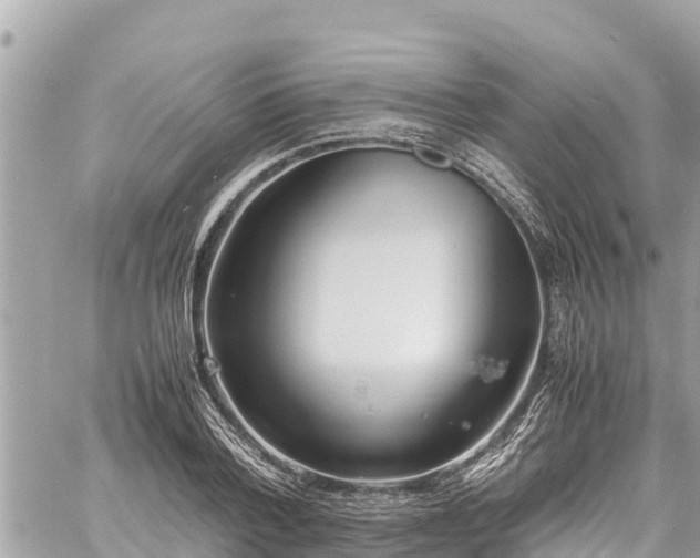 X0000060770788200511141256