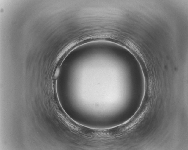 X0000060770789200511141256