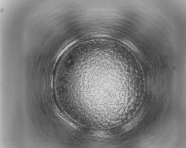 X0000060770790200511141256