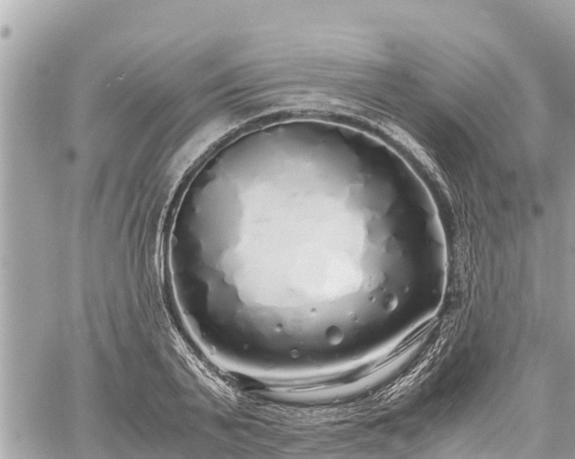 X0000060770791200511141256