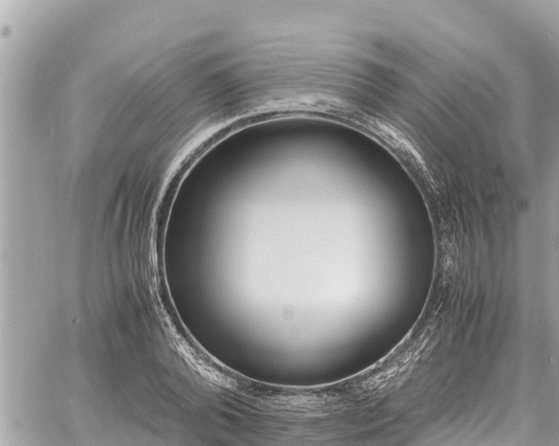 X0000060770792200511141256