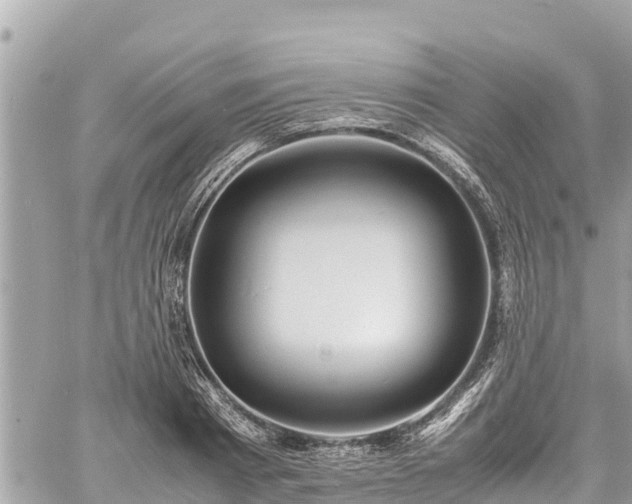 X0000060770793200511141256