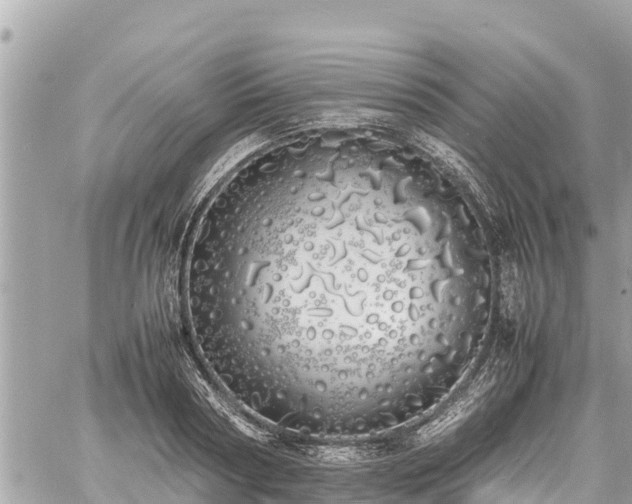 X0000060770794200511141256