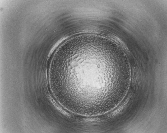 X0000060770796200511141256