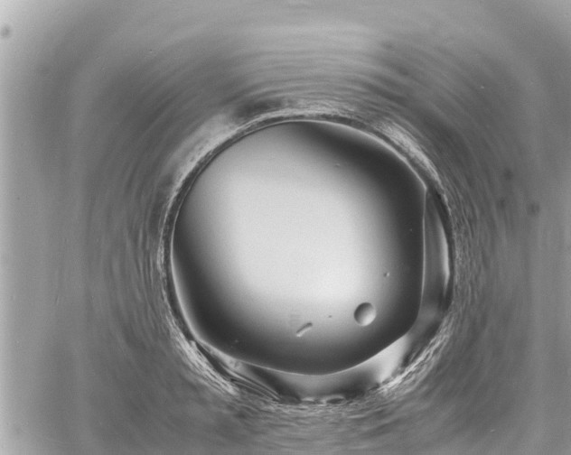 X0000060770797200511141256