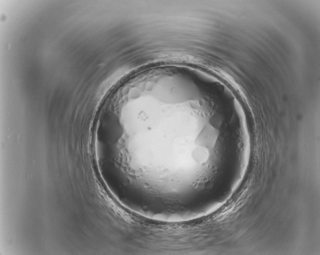 X0000060770799200511141256