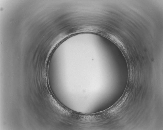 X0000060770800200511141256