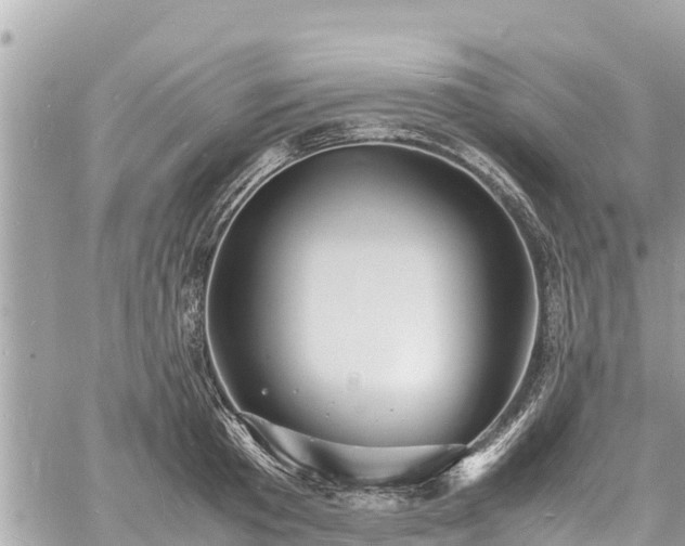 X0000060770801200511141256