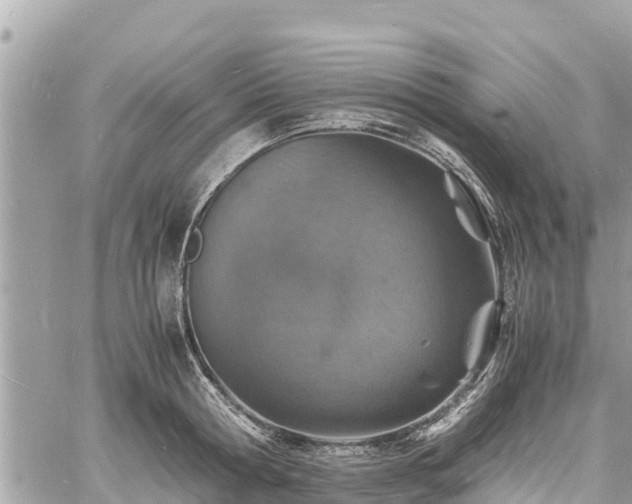 X0000060770802200511141256