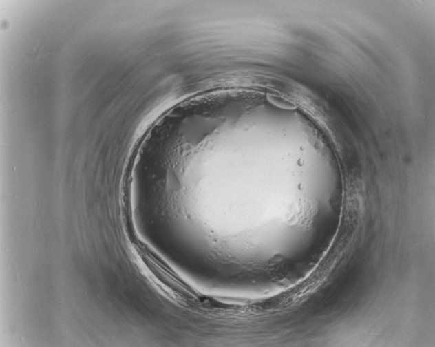 X0000060770803200511141256