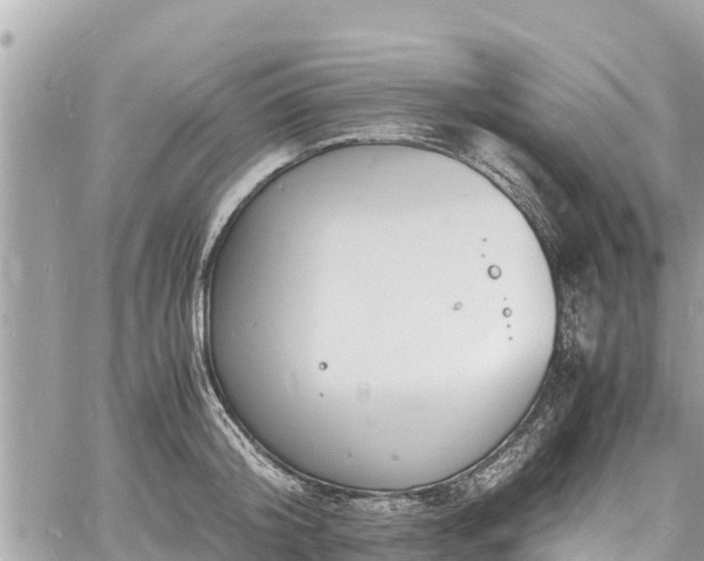 X0000060770804200511141256