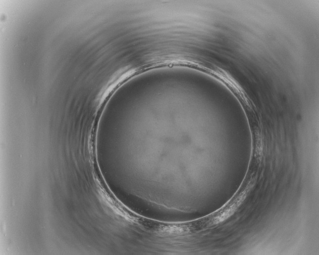 X0000060770806200511141256