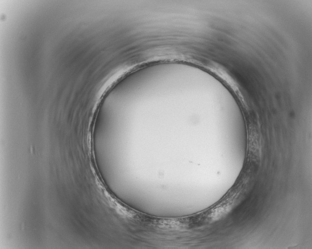 X0000060770807200511141256