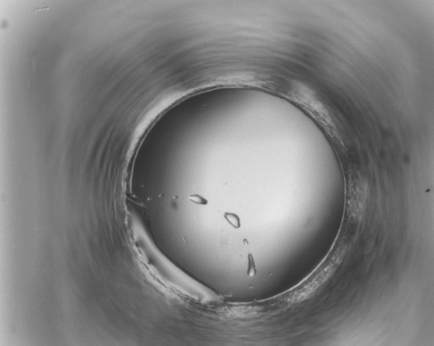 X0000060770808200511141256