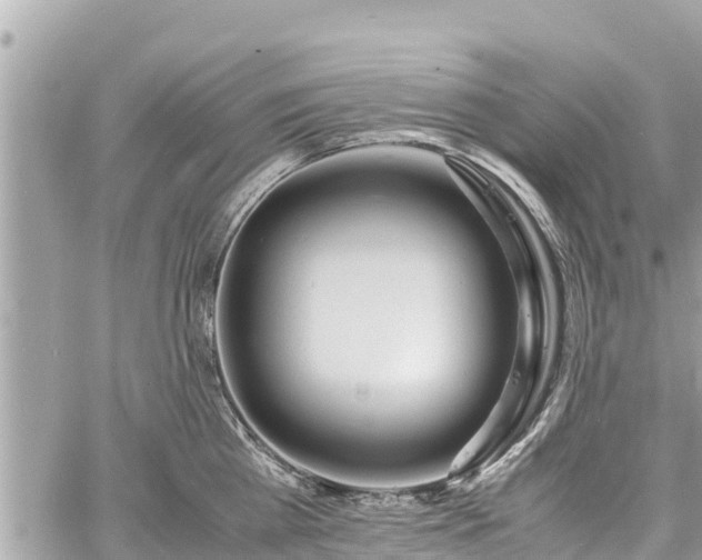 X0000060770809200511141256