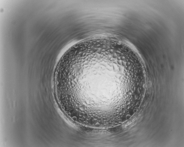 X0000060770811200511141256