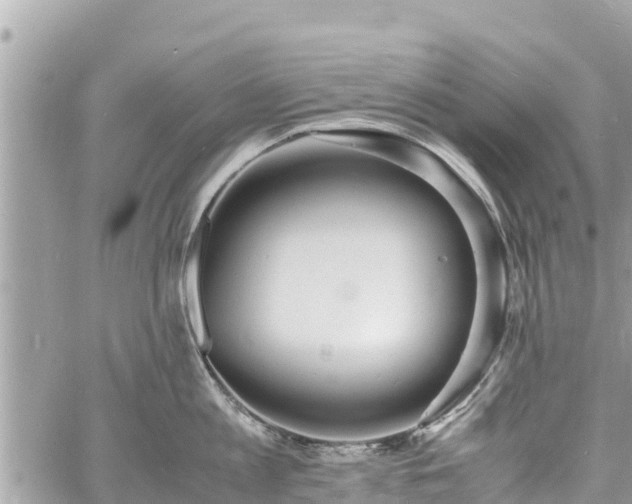 X0000060770813200511141256