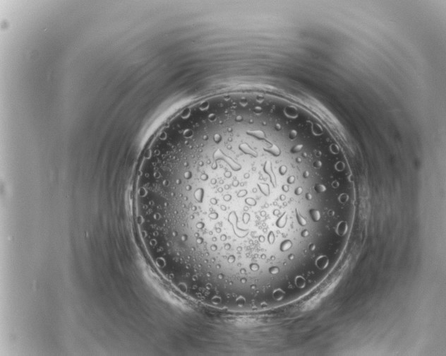 X0000060770814200511141255