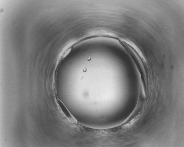 X0000060770815200511141255