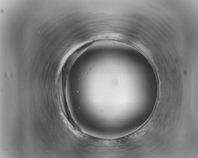 X0000060770816200511141255